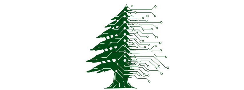961 Developments — Lebanon meets technology